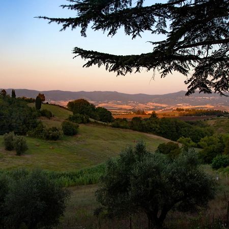 Agriturismo Terre Della Rinascita Castelnuovo della Misericordia Dış mekan fotoğraf