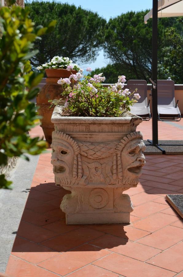 Agriturismo Terre Della Rinascita Castelnuovo della Misericordia Dış mekan fotoğraf