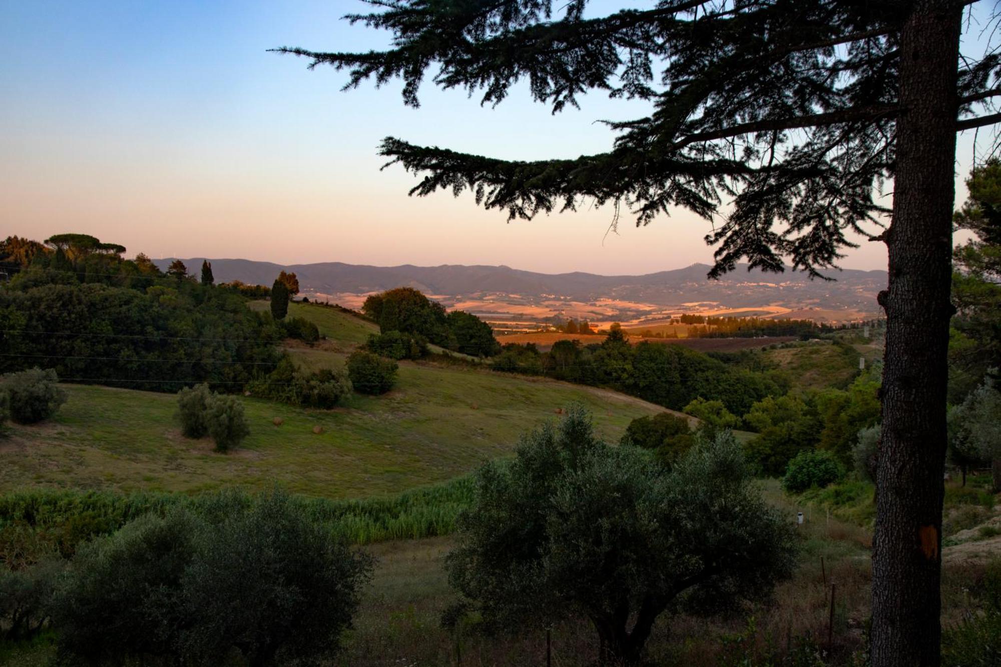 Agriturismo Terre Della Rinascita Castelnuovo della Misericordia Dış mekan fotoğraf