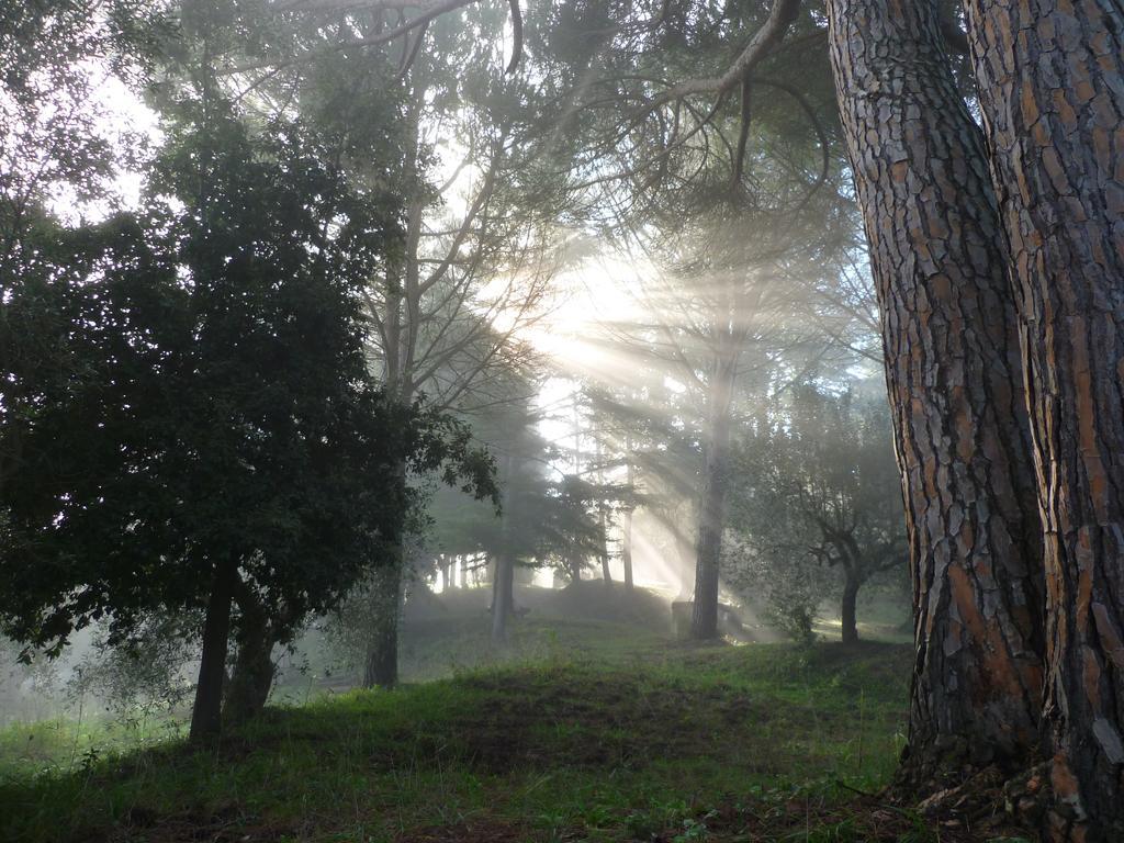 Agriturismo Terre Della Rinascita Castelnuovo della Misericordia Dış mekan fotoğraf